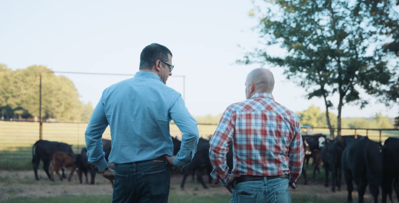 Goudarzi & Young David & Goliath 2023